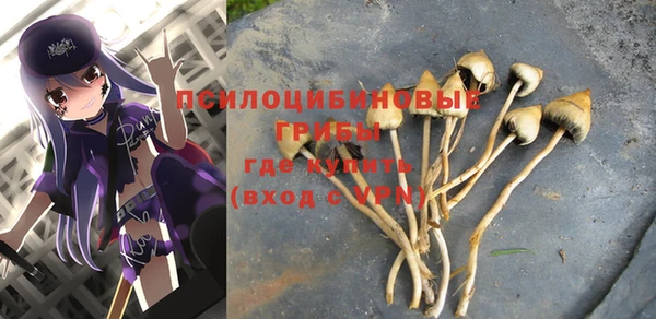 прущая мука Алексеевка
