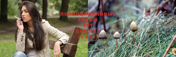 прущий лед Алексин