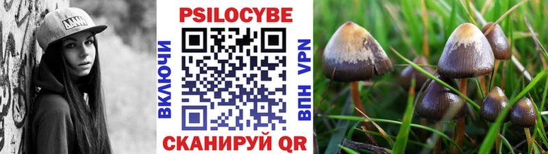 Галлюциногенные грибы ЛСД  Жиздра 